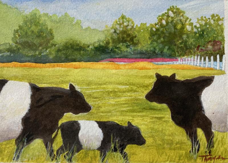 Suzi Thayer, Maine artist